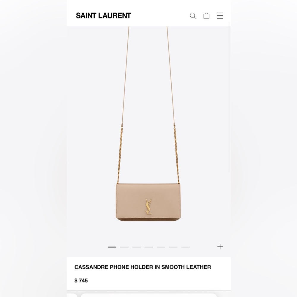 YSL bag